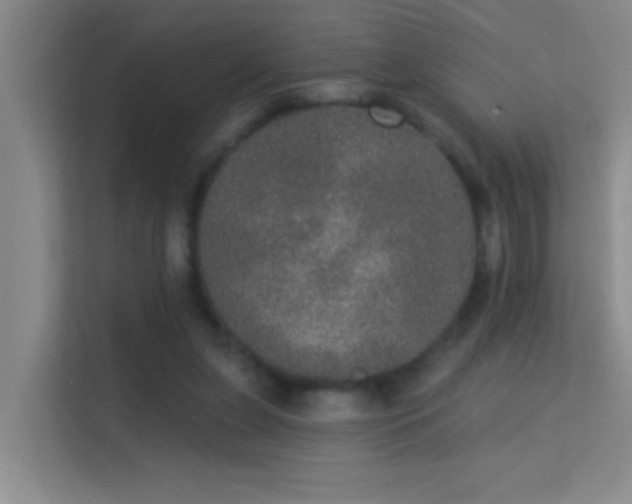 X0000113630255200909251226
