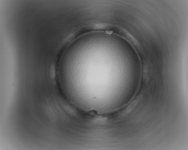 X0000113630257200909251226