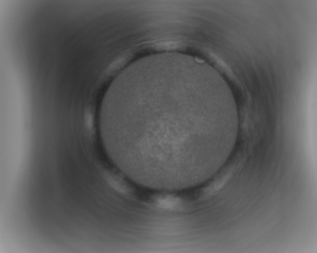 X0000113630258200909251226