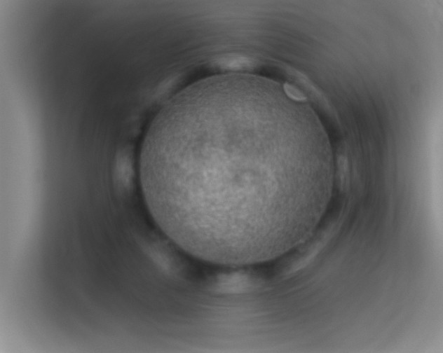 X0000113630259200909251226