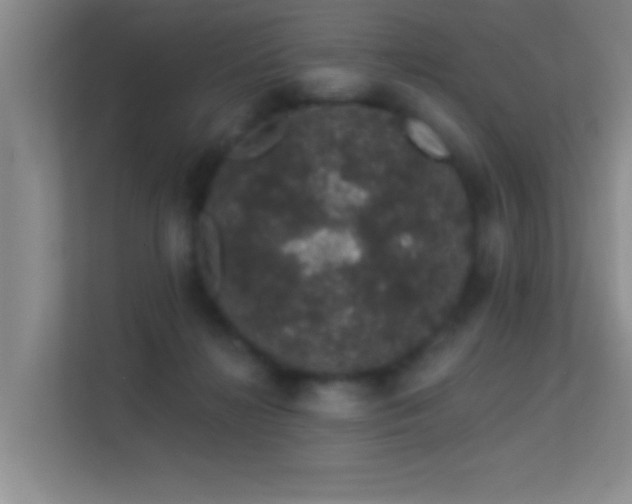 X0000113630268200909251226