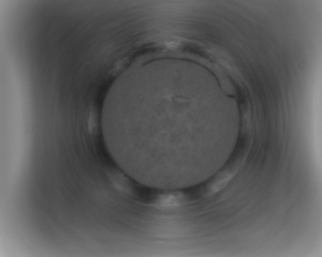 X0000113630274200909251226