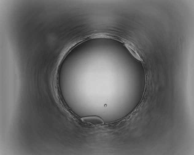 X0000113630289200909251226