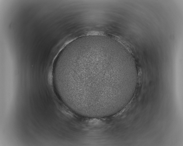 X0000113630290200909251226