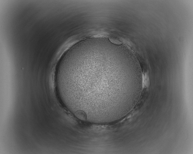 X0000113630291200909251226