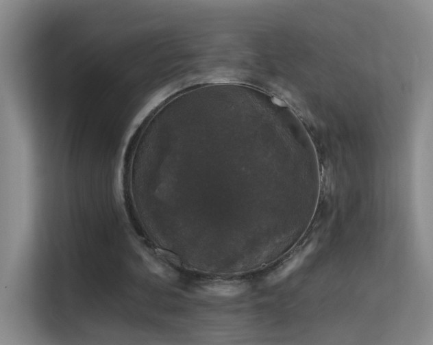 X0000113630292200909251226