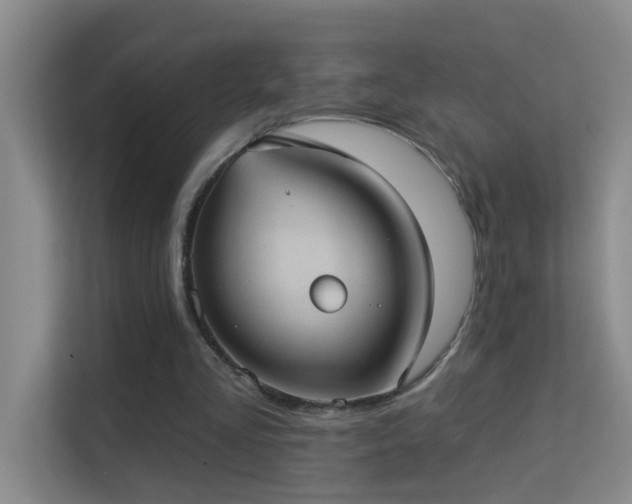 X0000113630293200909251226