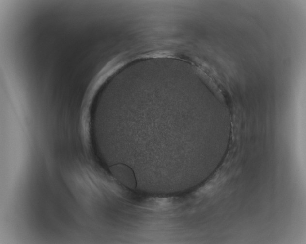 X0000113630295200909251226