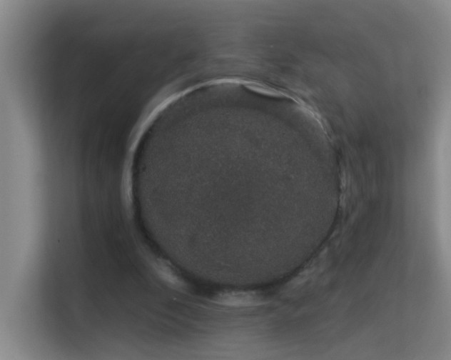 X0000113630296200909251226