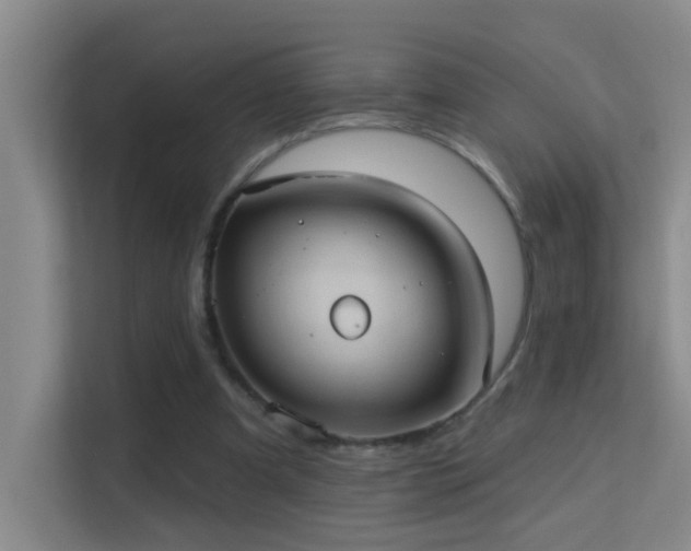 X0000113630297200909251226