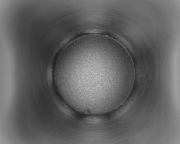 X0000113630299200909251226