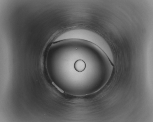 X0000113630300200909251226