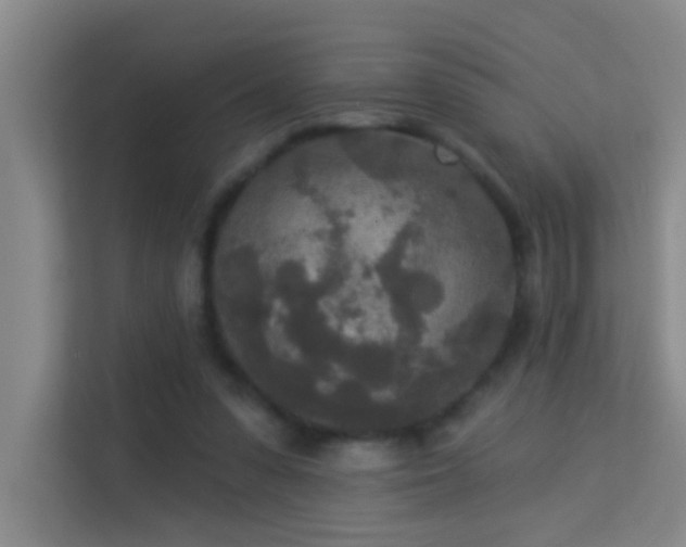 X0000113630303200909251226