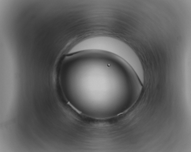 X0000113630304200909251226