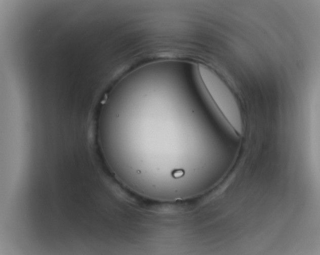 X0000113630305200909251226