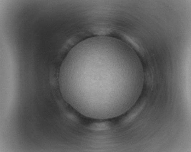 X0000113630307200909251226