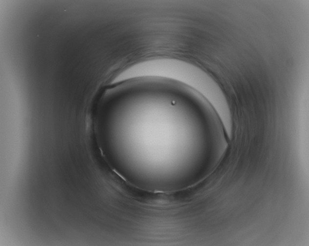 X0000113630308200909251226