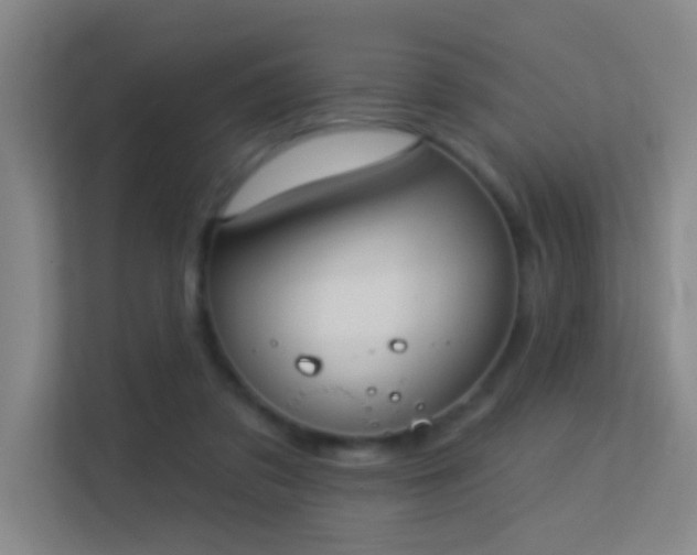 X0000113630309200909251226