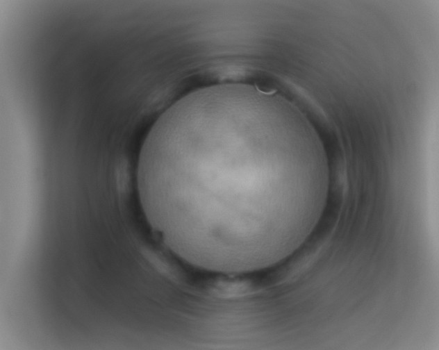 X0000113630311200909251226