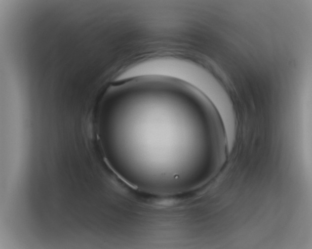 X0000113630313200909251226