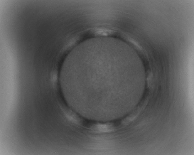 X0000113630314200909251226