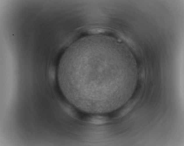 X0000113630315200909251226