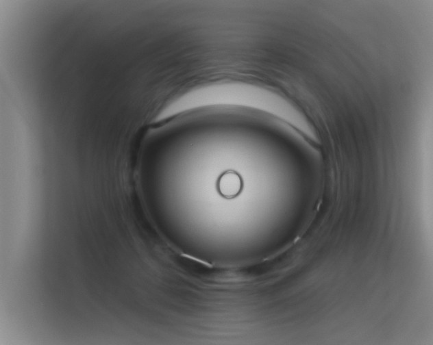 X0000113630316200909251226