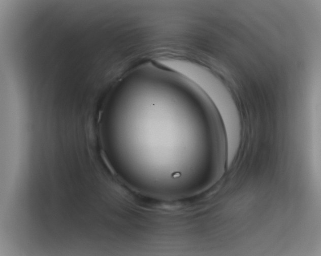 X0000113630317200909251226