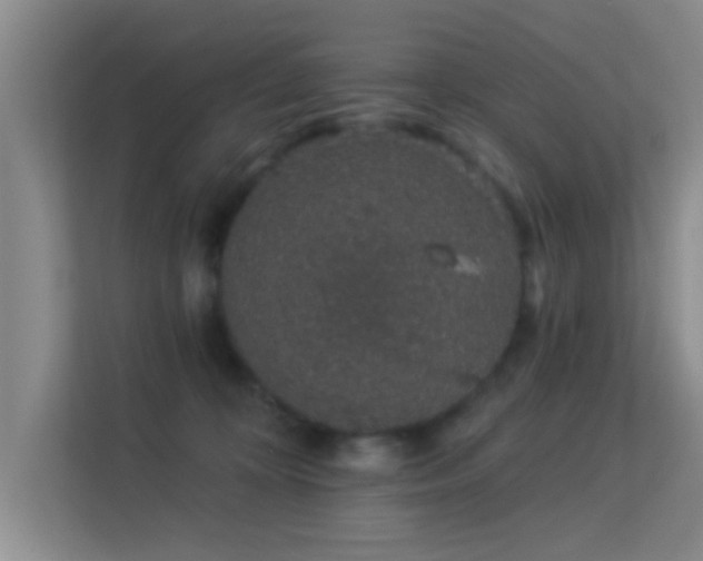 X0000113630324200909251226