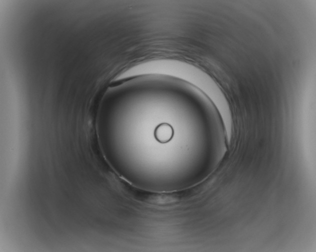 X0000113630327200909251226