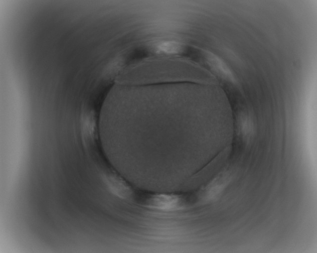 X0000113630328200909251226