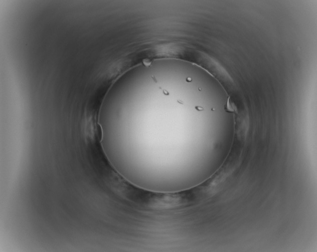 X0000113630329200909251225