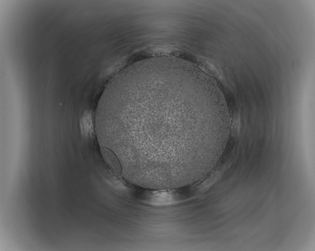 X0000113630335200909251225