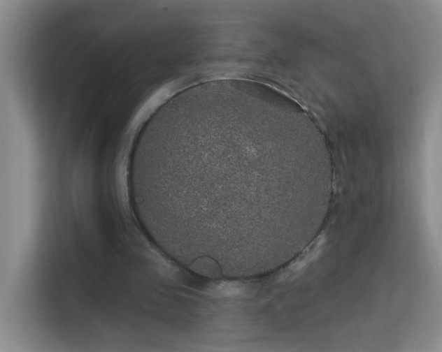 X0000113630341200909251225