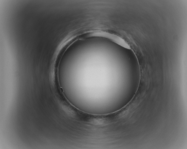 X0000113630344200909251225