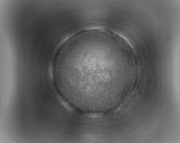 X0000113630345200909251225