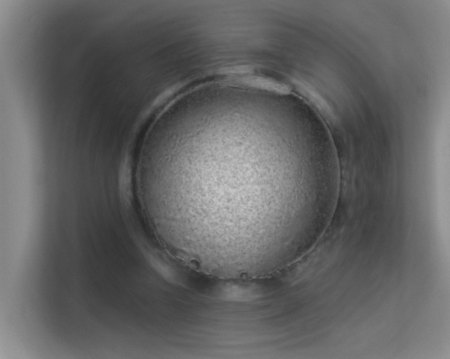 X0000113630346200909251225