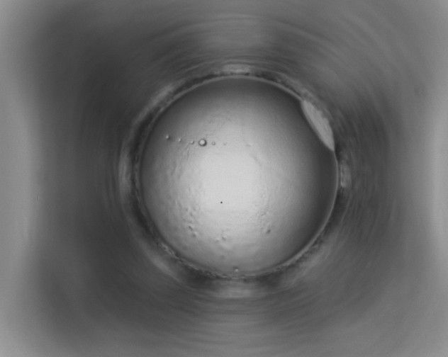 X0000113630347200909251225