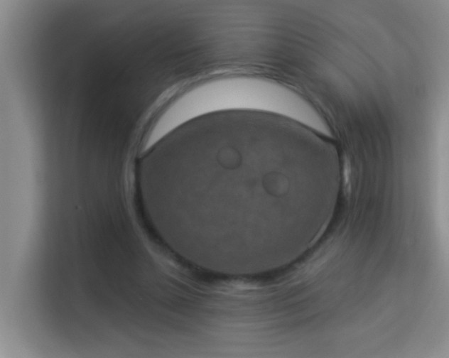X0000113630348200909251225