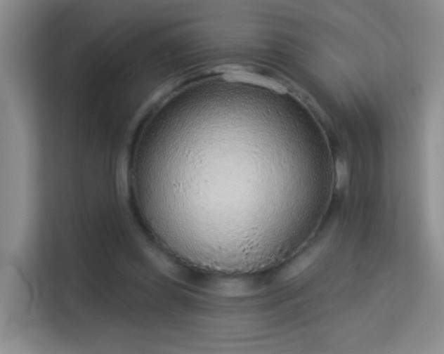X0000113630349200909251225