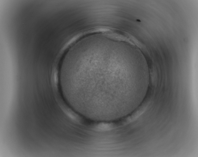 X0000113630350200909251225