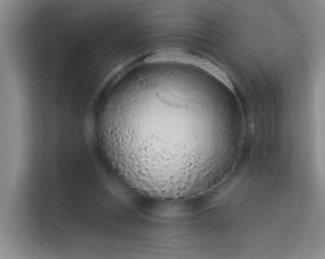 X0000113630351200909251225