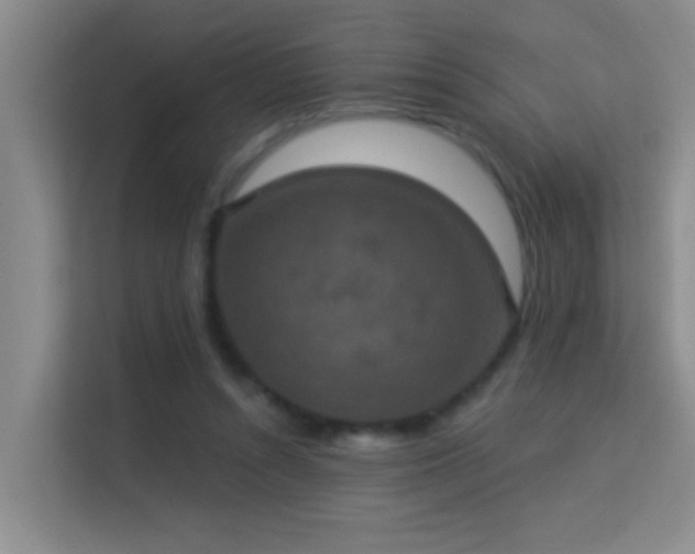 X0000113630352200909251225