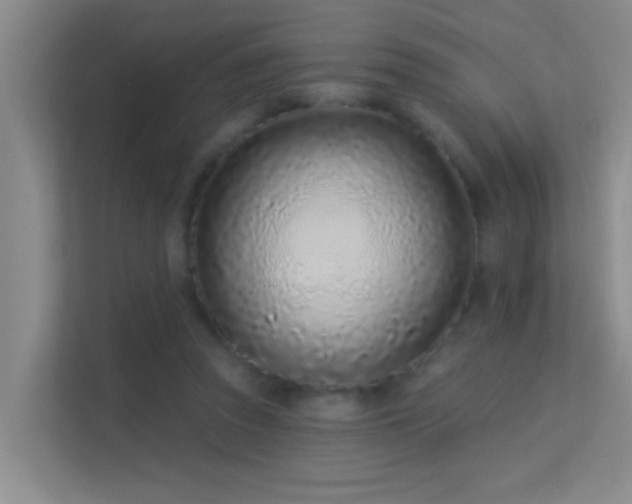 X0000113630353200909251225