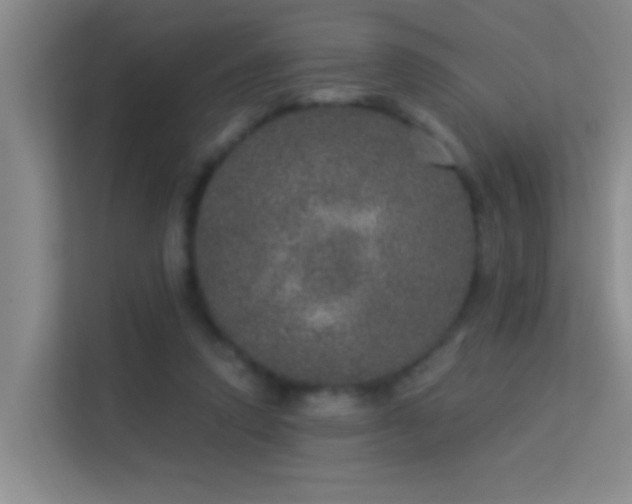 X0000113630354200909251225