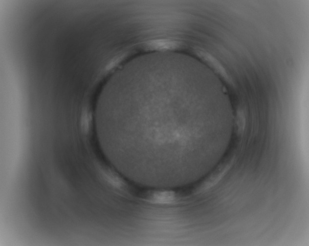 X0000113630355200909251225