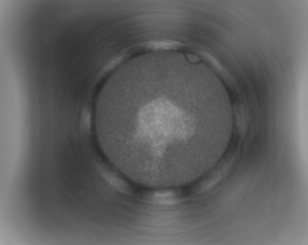 X0000113630357200909251225