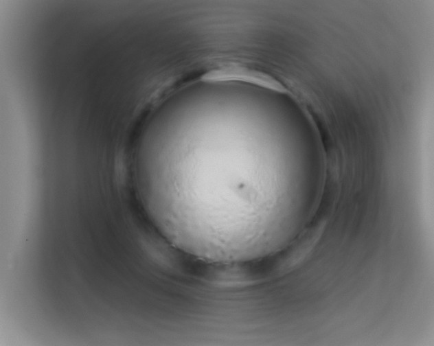 X0000113630359200909251225