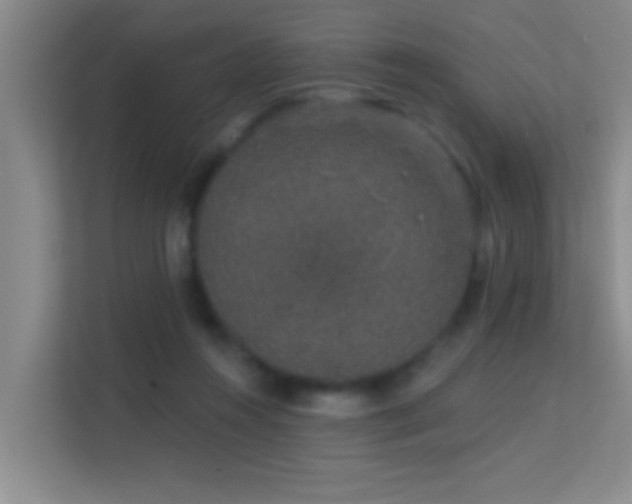 X0000113630360200909251225