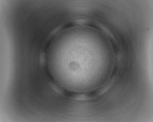 X0000113630361200909251225